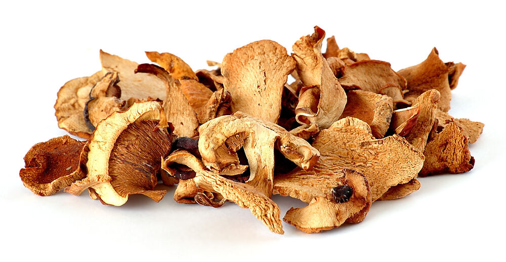 Urbani porcini mushrooms