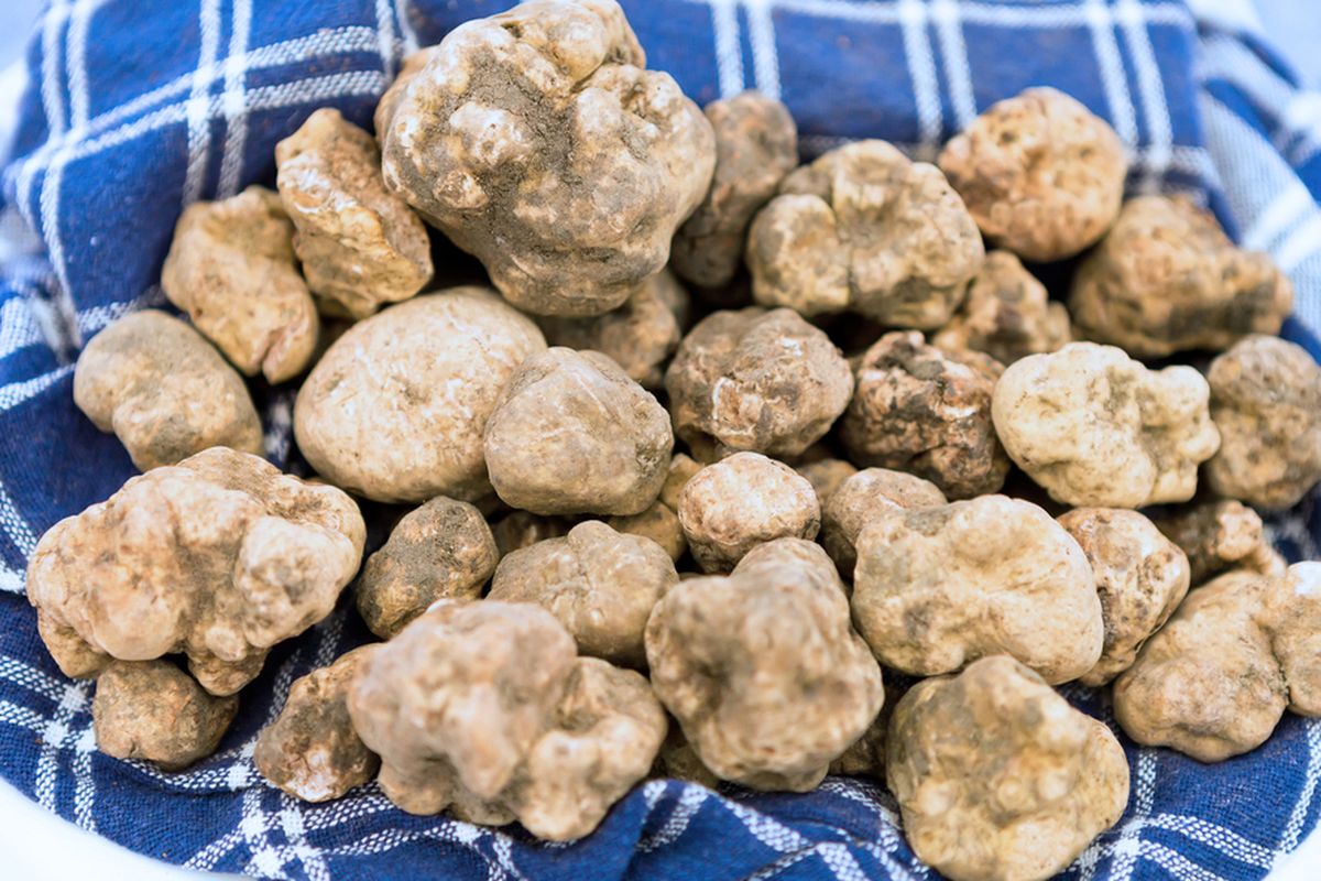 Urbani truffles